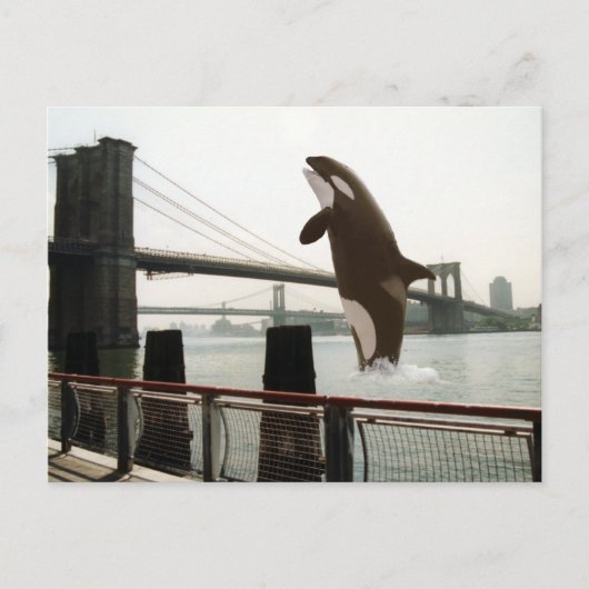 Het Briefkaart van de Brooklyn Bridge springen (Voorkant)