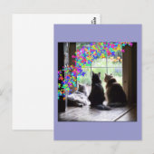 Het briefkaart van de de kattendeelneming van de (Voorkant / Achterkant)