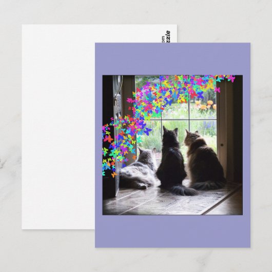 Het briefkaart van de de kattendeelneming van de (Voorkant / Achterkant)