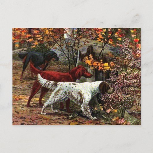 Het Briefkaart van de drie zetels (Voorkant)