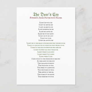 Het Briefkaart van de Droogmachine van de Deer