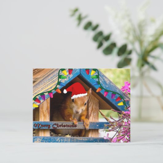 Het Briefkaart van de Eekhoorn van Kerstmis (Staand voorkant)