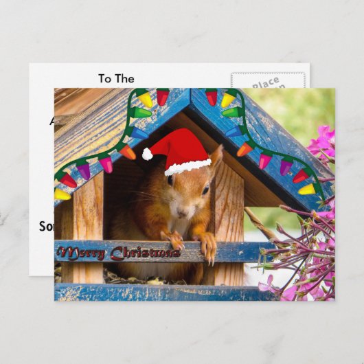 Het Briefkaart van de Eekhoorn van Kerstmis (Voorkant / Achterkant)