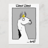 Het Briefkaart van de eend van de Lama van de lama (Voorkant)