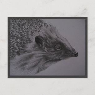 Het Briefkaart van de egel