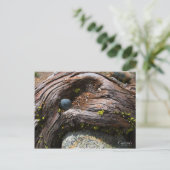 Het Briefkaart van de Foto van stromen (Staand voorkant)