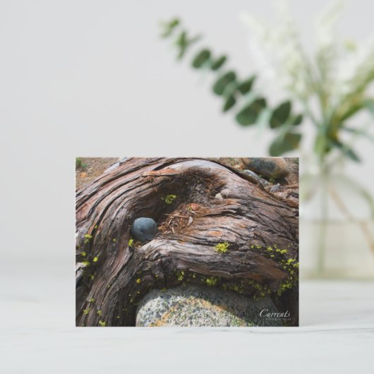 Het Briefkaart van de Foto van stromen (Staand voorkant)