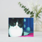 Het Briefkaart van de Gloed van de Kat van het kat (Staand voorkant)