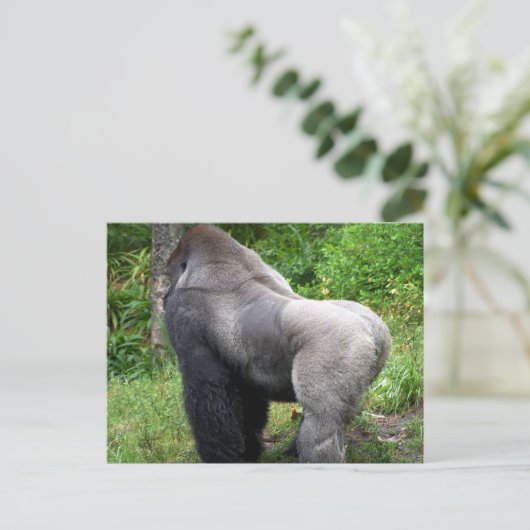 Het Briefkaart van de Gorilla van Silverback (Staand voorkant)