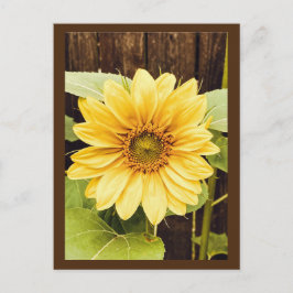 Het Briefkaart van de gouden zonnebloem