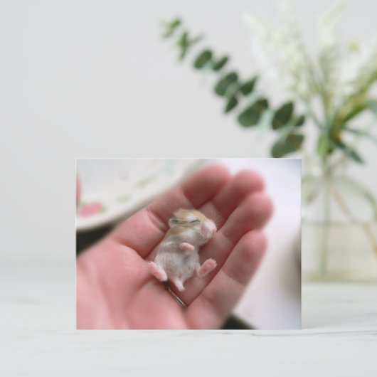 Het Briefkaart van de Hamster van Roborovski van (Staand voorkant)