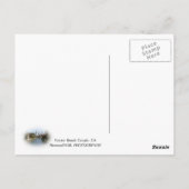 Het Briefkaart van de Kanalen van het Strand van (Achterkant)