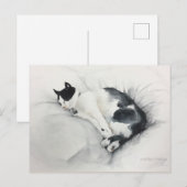 Het briefkaart van de kat (Voorkant / Achterkant)