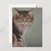 Het Briefkaart van de Kat van de Wasbeer van Maine (Voorkant / Achterkant)