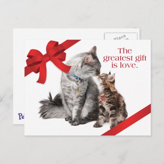 Het Briefkaart van de Katten van de vakantie (Voorkant / Achterkant)