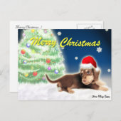 Het Briefkaart van de Kerstboom van de tekkel (Voorkant / Achterkant)