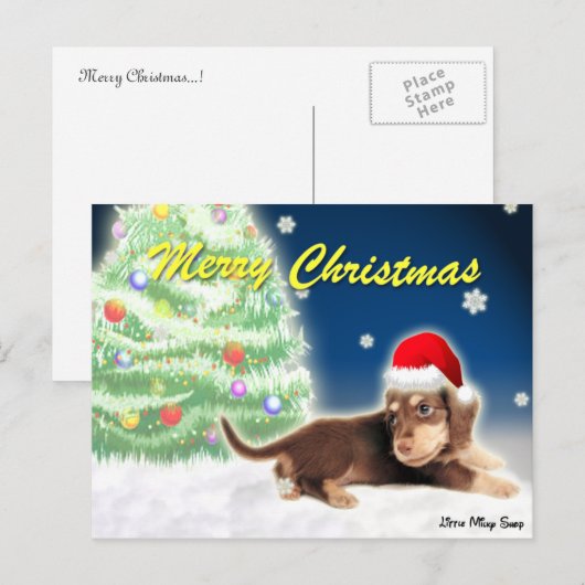 Het Briefkaart van de Kerstboom van de tekkel (Voorkant / Achterkant)