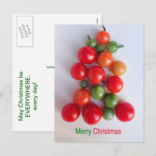 Het Briefkaart van de Kerstboom van de tomaat (Voorkant / Achterkant)