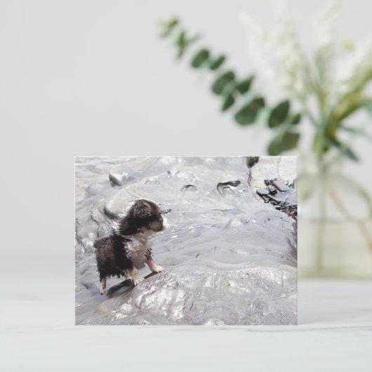 Het Briefkaart van de klim (Staand voorkant)