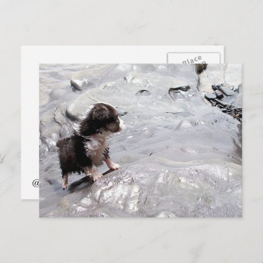 Het Briefkaart van de klim (Voorkant / Achterkant)