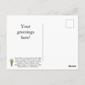 Het Briefkaart van de knoflookbolflook aanpassen (Achterkant)