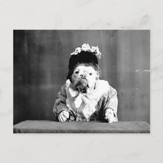 Het Briefkaart van de koningin Bulldog (Voorkant)