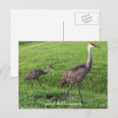 Het Briefkaart van de Kranen van de Heuvel van het (Voorkant / Achterkant)