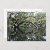 Het Briefkaart van de Kreek van Fisheating (Voorkant / Achterkant)