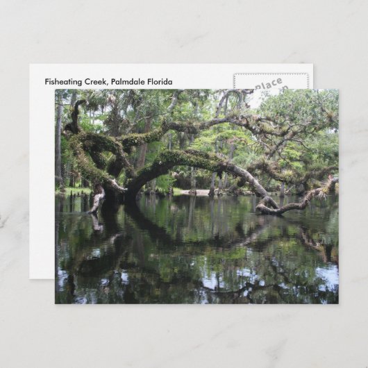 Het Briefkaart van de Kreek van Fisheating (Voorkant / Achterkant)