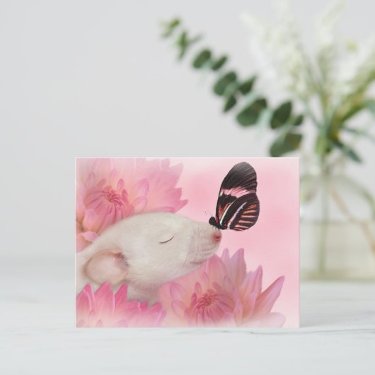 Het Briefkaart van de Kussen van de vlinder (Staand voorkant)