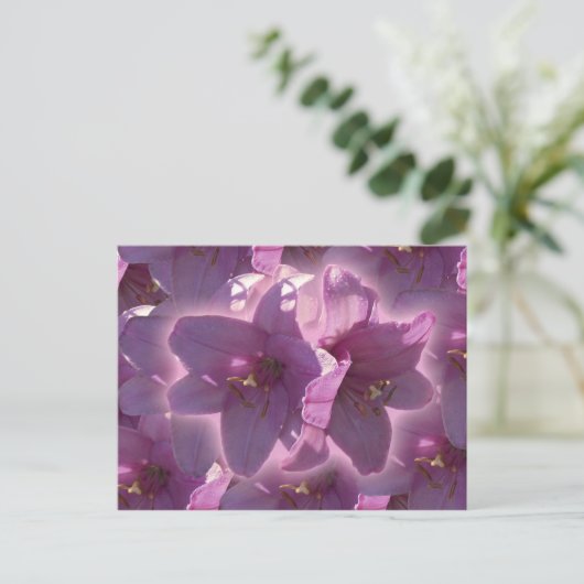 Het Briefkaart van de lelie (Staand voorkant)