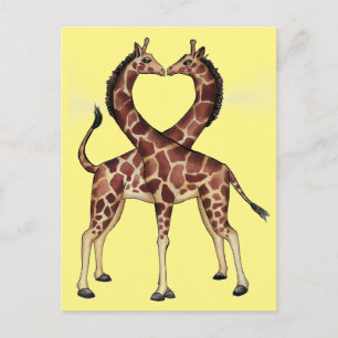 Het briefkaart van de Liefde van de Giraffe