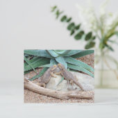 Het Briefkaart van de liefde you_Reptiles (Staand voorkant)