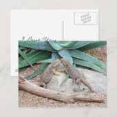 Het Briefkaart van de liefde you_Reptiles (Voorkant / Achterkant)