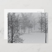 Het Briefkaart van de Magic Holiday (Voorkant / Achterkant)