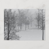 Het Briefkaart van de Magic Holiday (Voorkant)