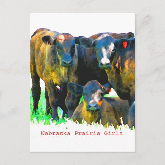 Het Briefkaart van de Meisjes van de Prairie van (Voorkant)