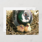 Het Briefkaart van de moederdag (Voorkant / Achterkant)