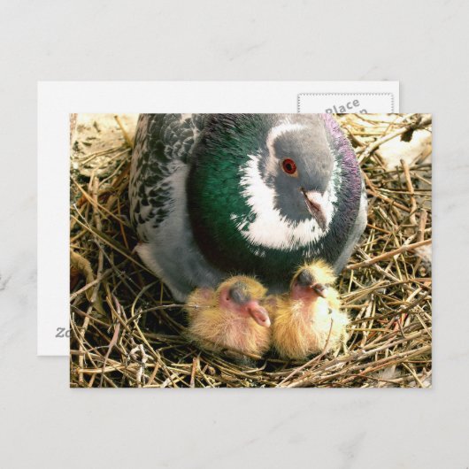 Het Briefkaart van de moederdag (Voorkant / Achterkant)