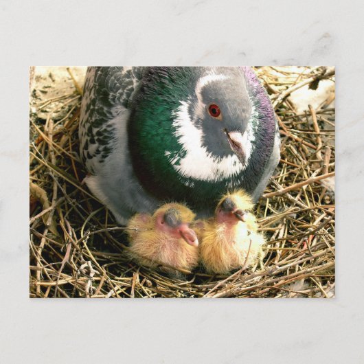 Het Briefkaart van de moederdag (Voorkant)