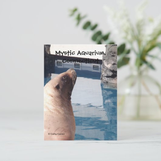 Het Briefkaart van de mysticus (Staand voorkant)