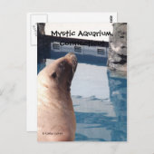 Het Briefkaart van de mysticus (Voorkant / Achterkant)