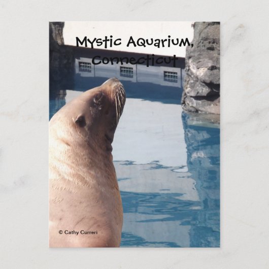 Het Briefkaart van de mysticus (Voorkant)