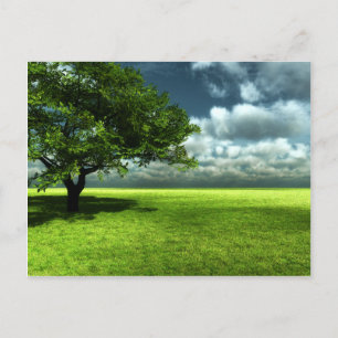 Het briefkaart van de natuur