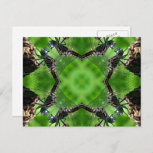 Het Briefkaart van de Natuur van de Kunst van de (Voorkant / Achterkant)