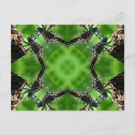 Het Briefkaart van de Natuur van de Kunst van de (Voorkant)