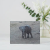 Het Briefkaart van de Olifant van het baby - door (Staand voorkant)