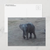 Het Briefkaart van de Olifant van het baby - door (Voorkant / Achterkant)