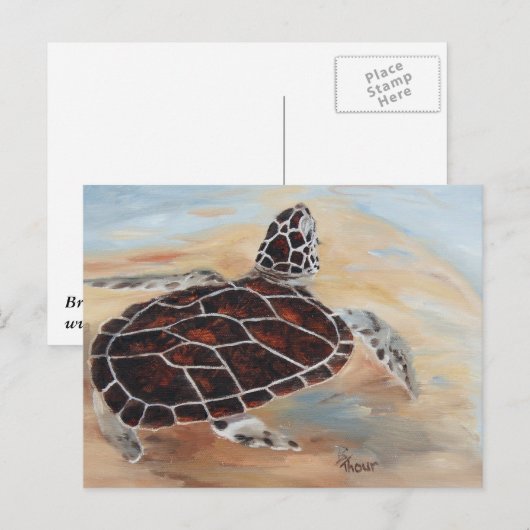 Het Briefkaart van de Opkantelschildpad (Voorkant / Achterkant)