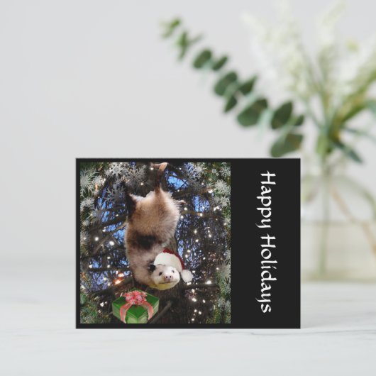 Het Briefkaart van de Opossum van de Vakantie van (Staand voorkant)